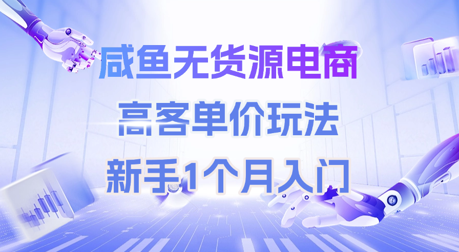 咸鱼无货源电商，高客单价玩法，新手1个月入门-翌晨科技网