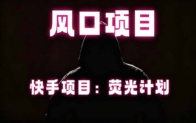 （18560期）快手风口项目，荧光计划托管，长期稳定，适合批量做-翌晨科技网