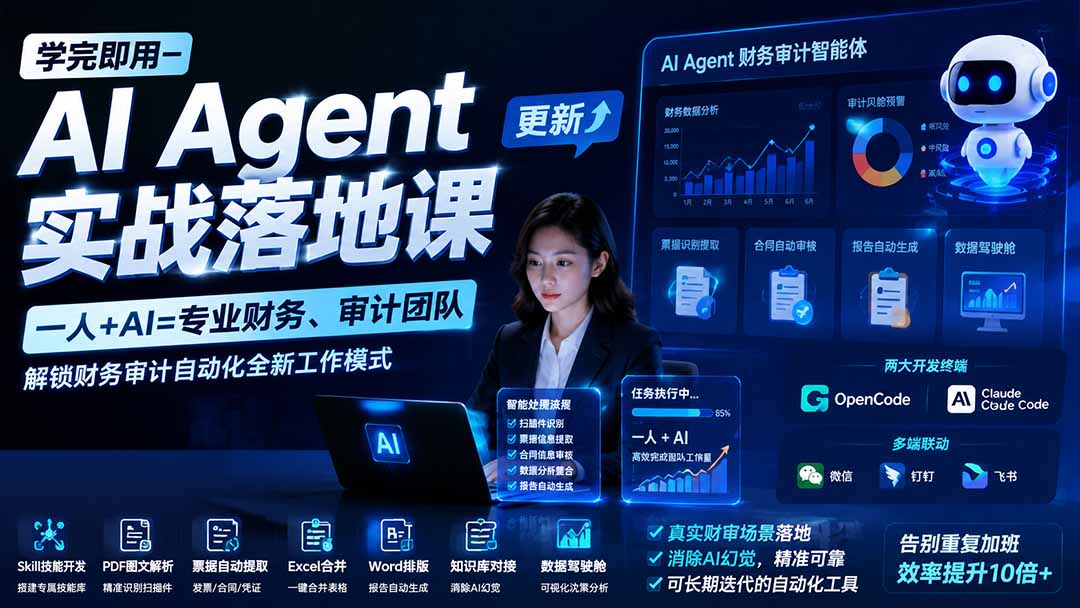 （19702期）学完即用—AI Agent实战落地课-更新：一人+AI=专业财务、审计团队，解锁财务审计自动化全新工作模式-翌晨科技网