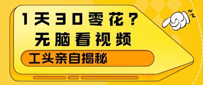 1天30零花？无脑看视频，大佬亲自揭秘-翌晨科技网