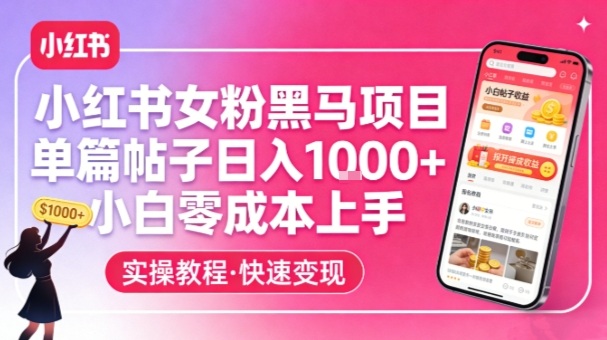 小红书女粉黑马项目，单篇帖子日入1k+，小白零成本上手-翌晨科技网